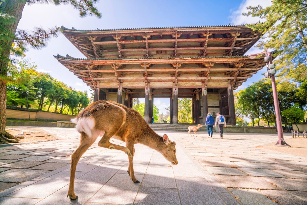 Templo Tōdai-ji Nara